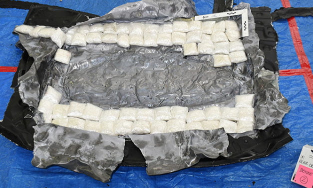 490 kilograms of meth found in Botany shipping container