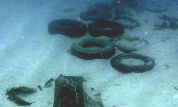 Car tyres and containers found from YM Efficiency