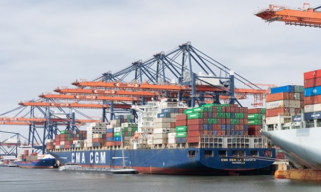 Big container growth reported at major Euro port