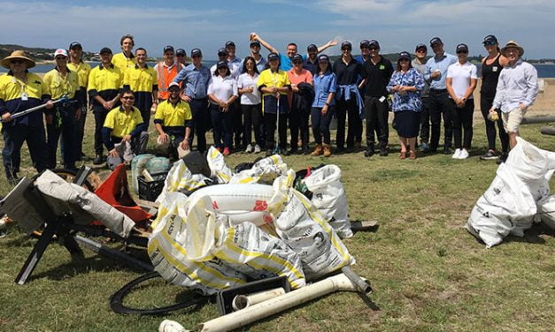 NSW Ports cleans up