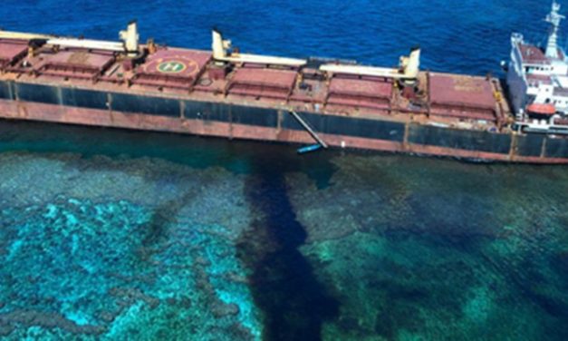 Australian response to Solomon Islands oil spill continues