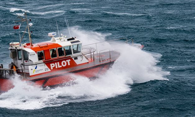 VIDEO: Pilot boards ship in large seas