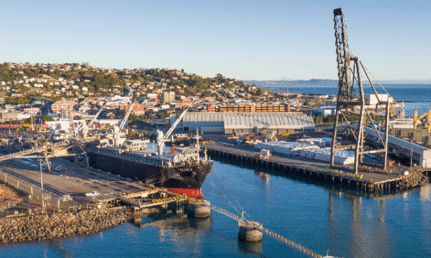 VIDEO: Port of Burnie crane takes a tumble