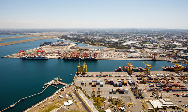 Botany’s container numbers continue surge