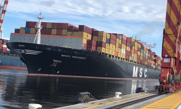 MSC to avoid Arctic routes on environmental grounds