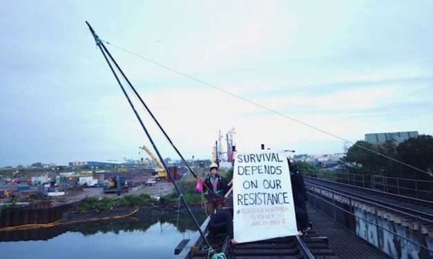 Strike force launched against protesters as another blocks Botany