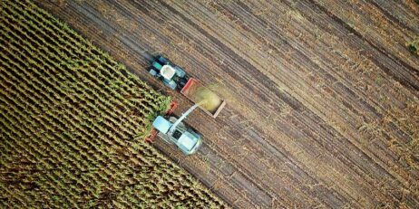 Strong results forecast for Australia’s ag production