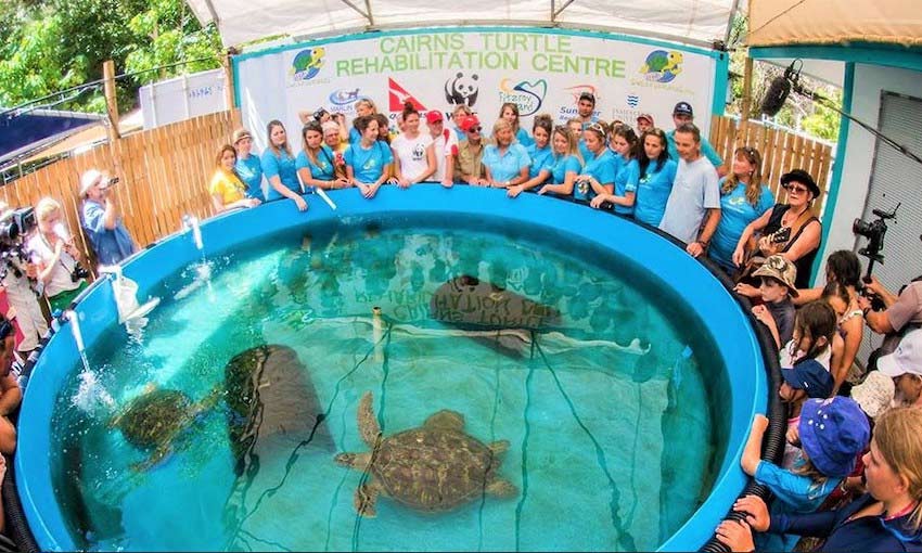 ANL aids recovery of marine life with Turtle Preservation Project