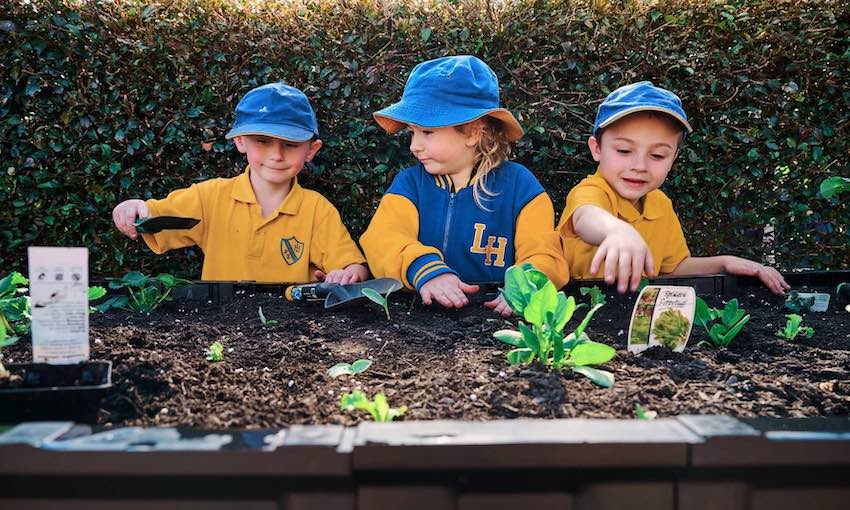 NSW Ports supports Illawarra school’s bumper harvest