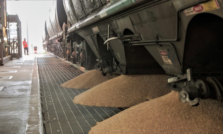 Rail investment vital to Port Kembla grain trade: NSW Ports