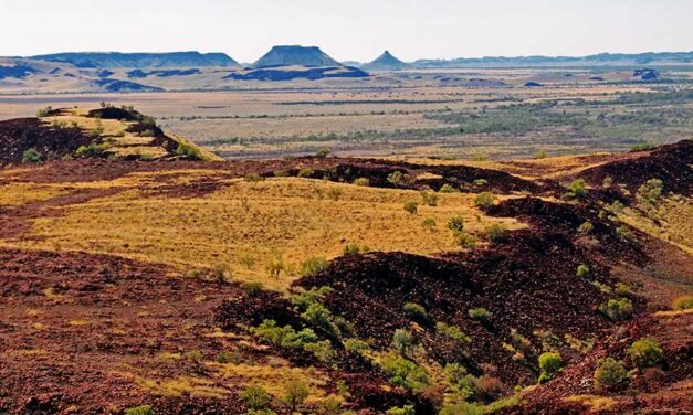 Pilbara industry players agree on clean energy development