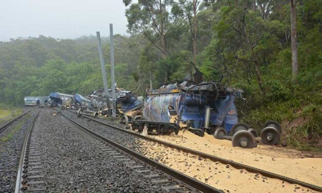 Multi factors behind grain derailment