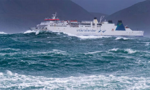 NZ union wants Cook Strait action