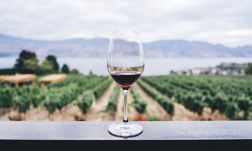 Resumption of wine exports to China boosts SA trade