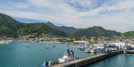 Port Marlborough marina operator awarded in first for NZ