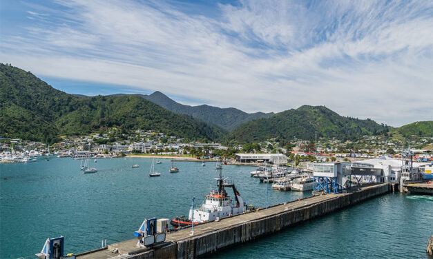 Port Marlborough marina operator awarded in first for NZ