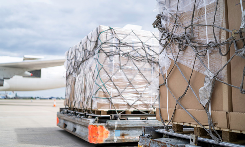 Air cargo demand surges in June