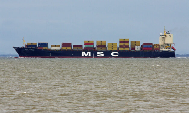 MSC on the Wallaby