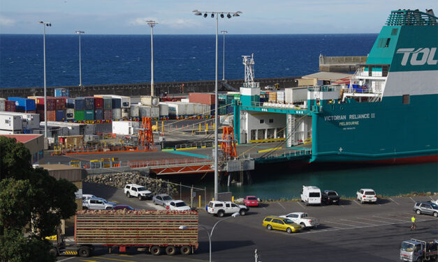 Weakness found in Burnie berth