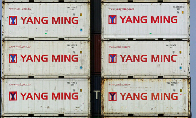 STRONG RESULT ENCOURAGES YANG MING PLAN TO DEPLOY UP TO 13 VESSELS