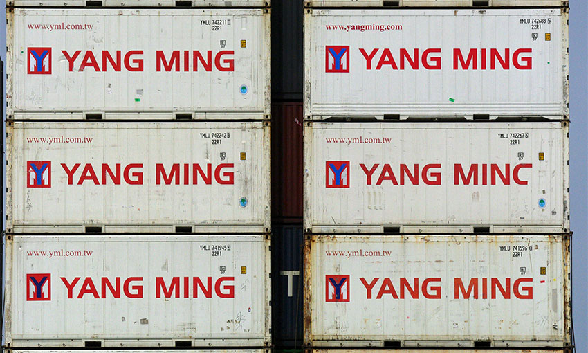 STRONG RESULT ENCOURAGES YANG MING PLAN TO DEPLOY UP TO 13 VESSELS