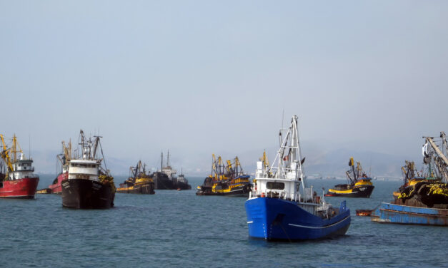 South-South trade in fisheries and aquaculture surging, says United Nations