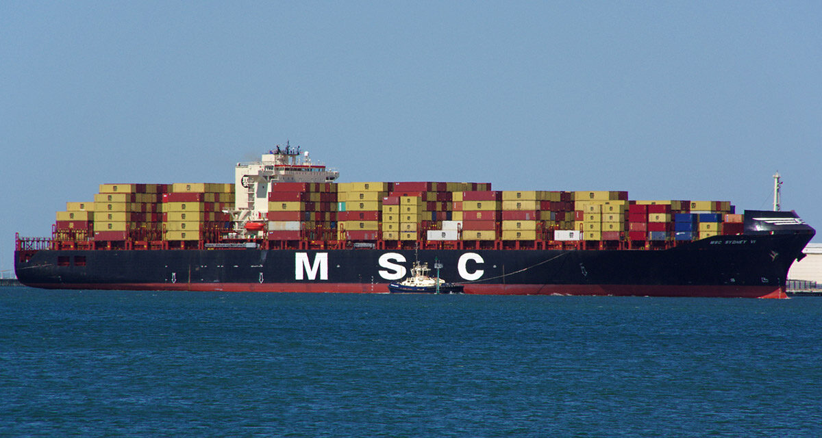 MSC fills WA gap with Koala