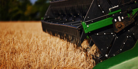 New season grain being received at Geraldton, Esperance and Fremantle ports