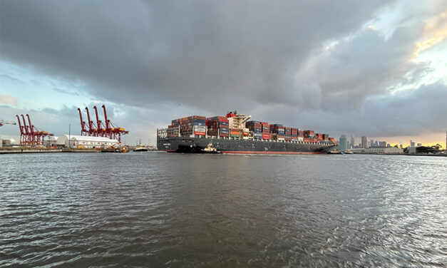 Container trade increases at Melbourne while non-container takes a dive