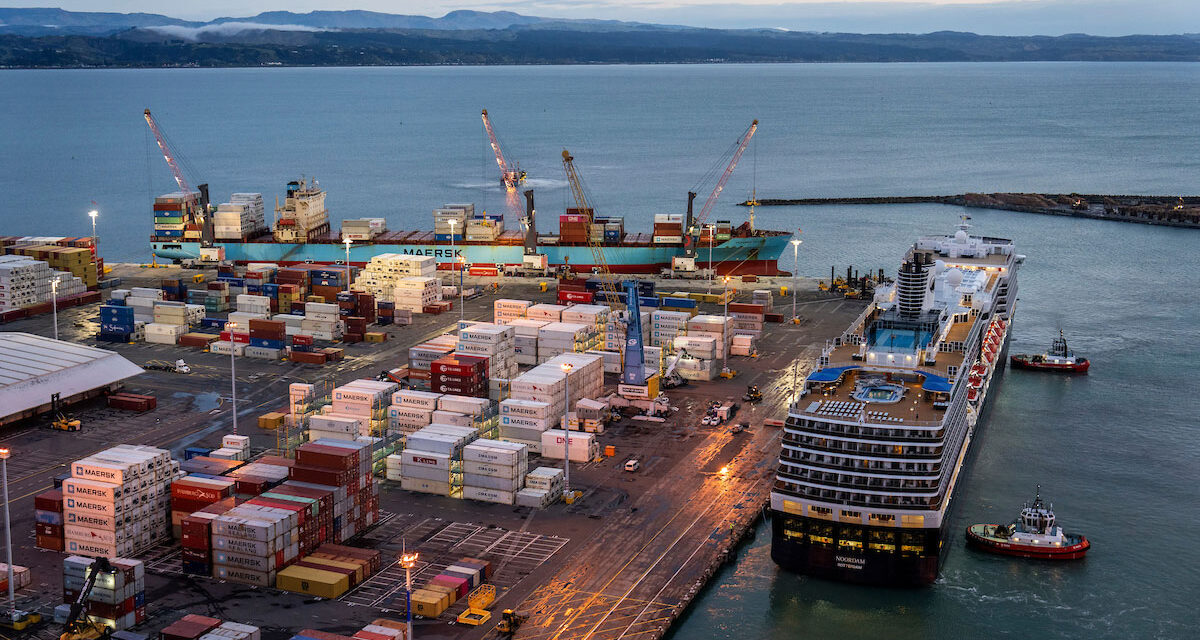 Napier and Otago to purchase Dutch dredge