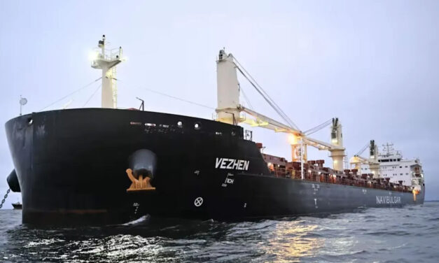 Bulk carrier seized by Sweden after cable incident