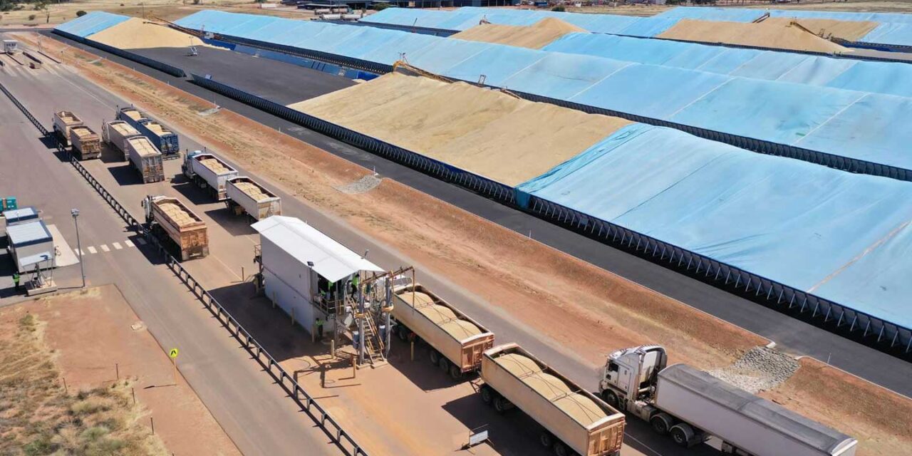 Record grain harvest puts pressure on exports