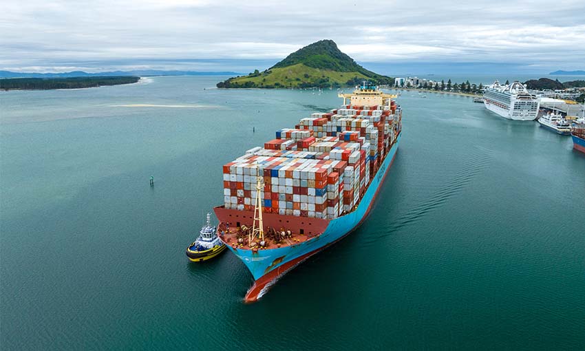 PORT OF TAURANGA BOUNCES BACK