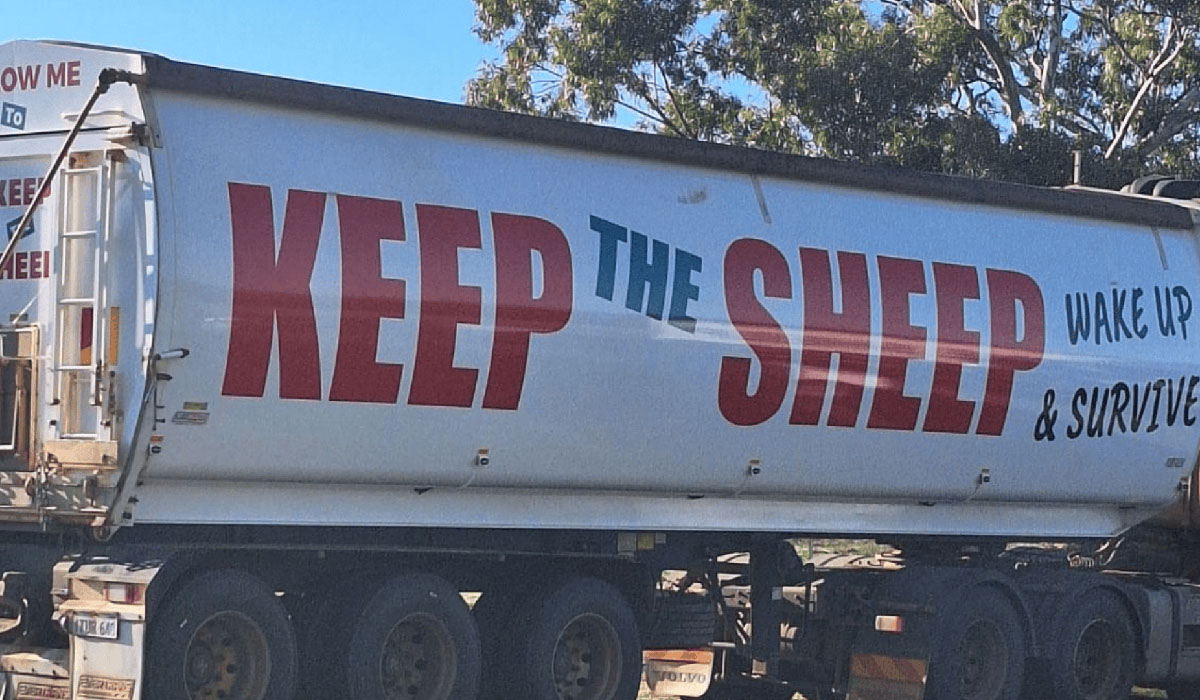 Convoy to protest against live sheep ban