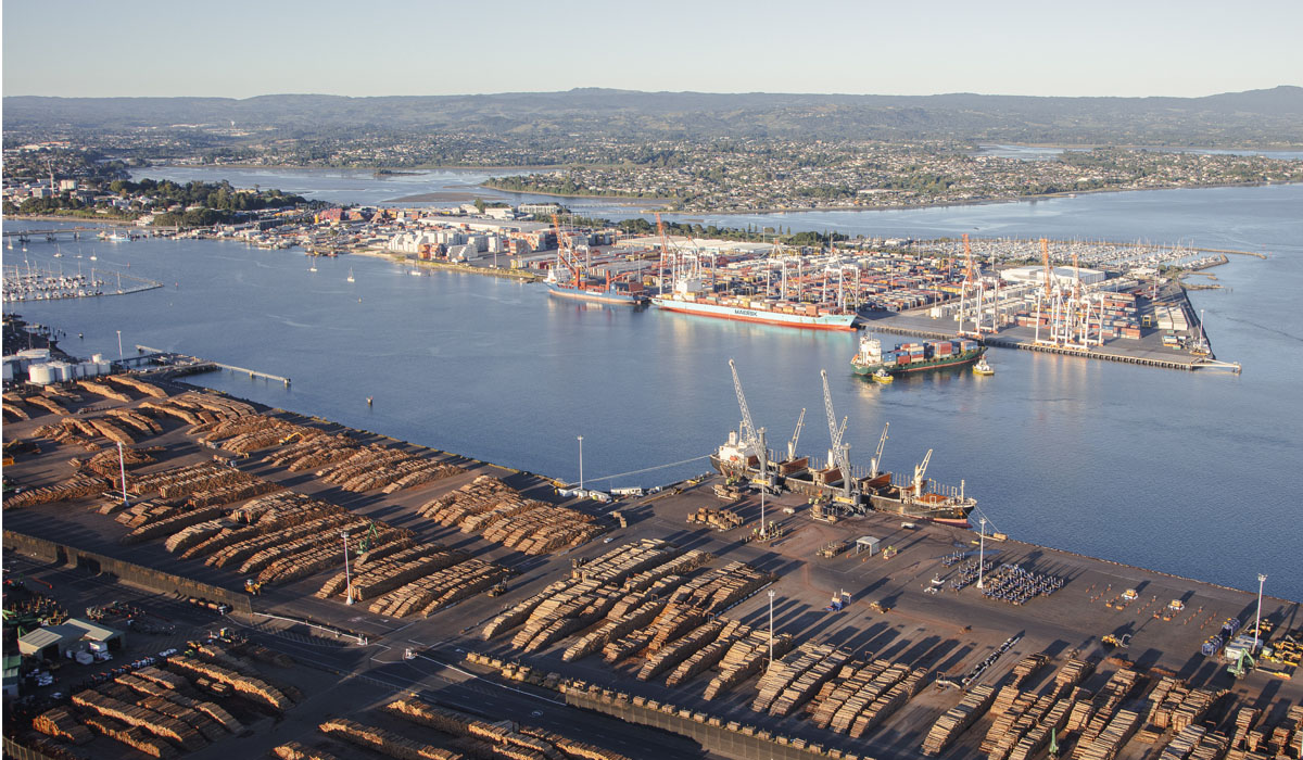 Tauranga applies for fast-track expansion