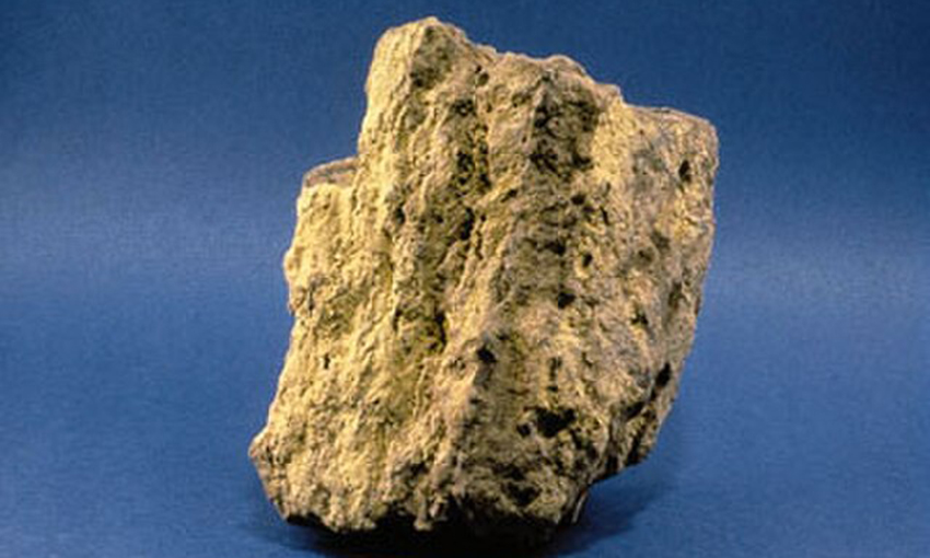 ABF warns consumers after man sentenced for nuclear import